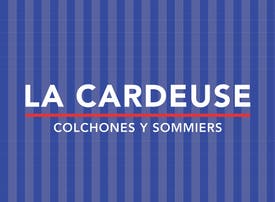 La Cardeuse - 30%