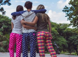 Elepants - 25%