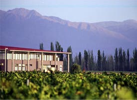 Bodega Tapiz - 2x1