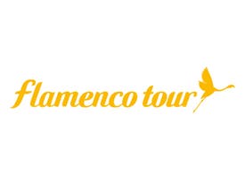 Flamenco Tour - 20%